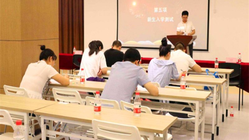 少儿编程加盟排行榜